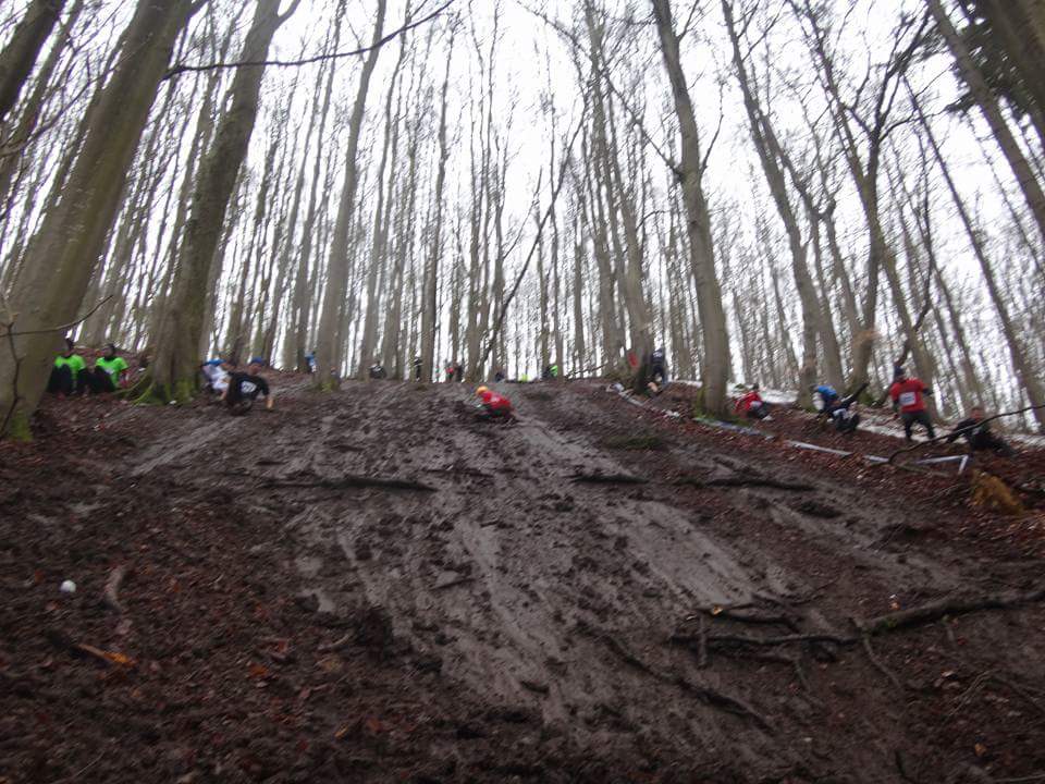 1958357_855815344563923_8337677913937202681_n