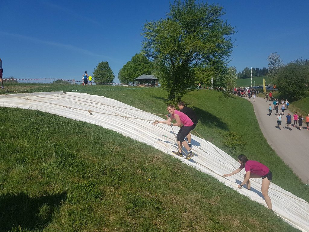 Plane Wildsau Oberösterreich