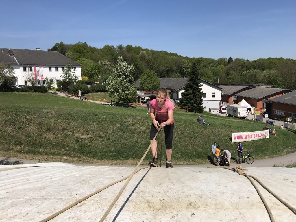 Wildsau Oberösterreich